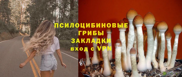 МДПВ Абинск