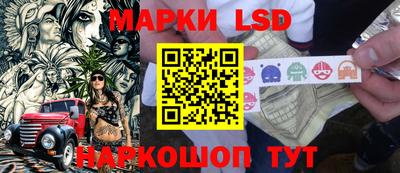 амф Владимир