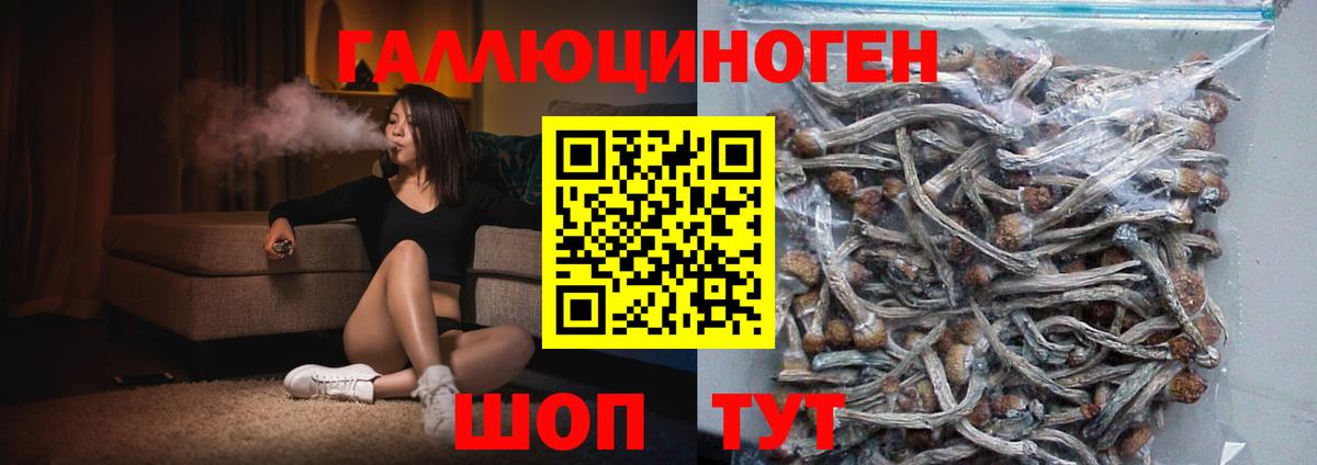 магазин    Вход с VPN  Алексеевка  Галлюциногенные грибы Psilocybine cubensis 